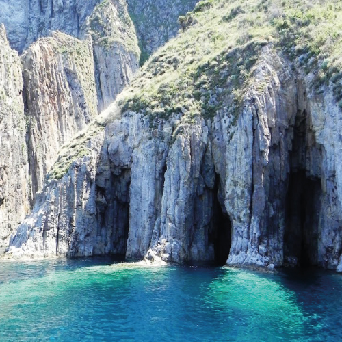 palmarola